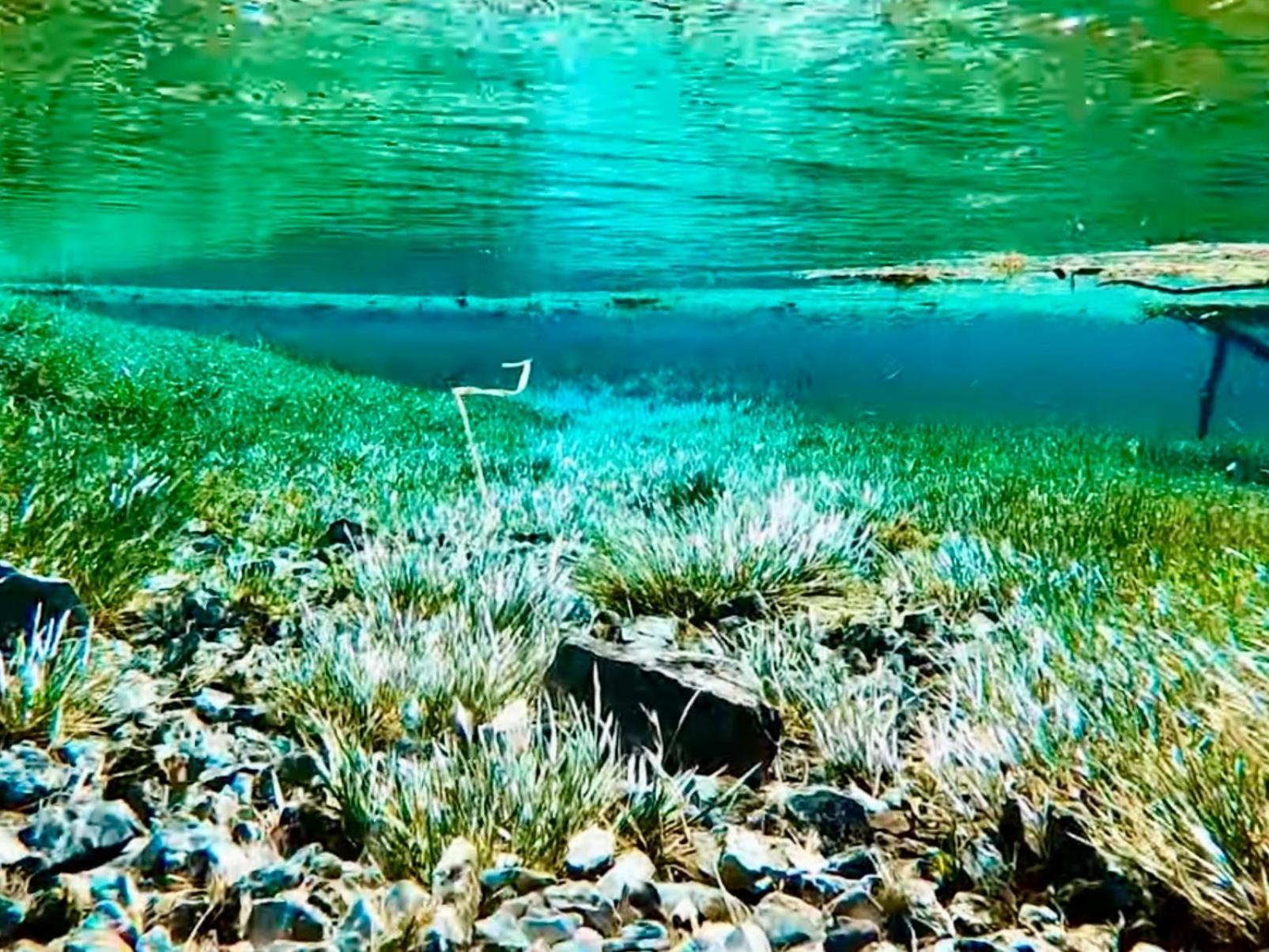 Oberort Gruener See Exklusiv מראה חיצוני תמונה
